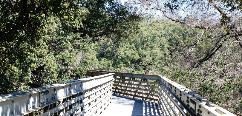 Walker-Ranch-Park-bridge